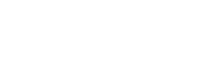 VIVID COLLECTION